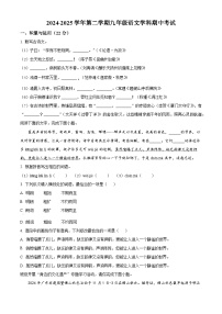 广东省珠海部分学校2024-2025学年九年级下学期期中语文试题（原卷版+解析版）