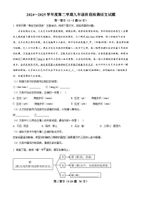 河北省保定市第十三中学2024-2025学年九年级下学期3月月考语文试题（原卷版+解析版）