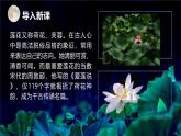 統(tǒng)編版（2024）七年級(jí)語(yǔ)文下17短文兩篇--愛(ài)蓮說(shuō)ppt課件