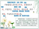 統(tǒng)編版（2024）七年級(jí)語(yǔ)文下17短文兩篇--愛(ài)蓮說(shuō)課件