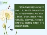 統(tǒng)編版（2024）七年級(jí)語(yǔ)文下冊(cè)17短文兩篇--愛(ài)蓮說(shuō)ppt課件