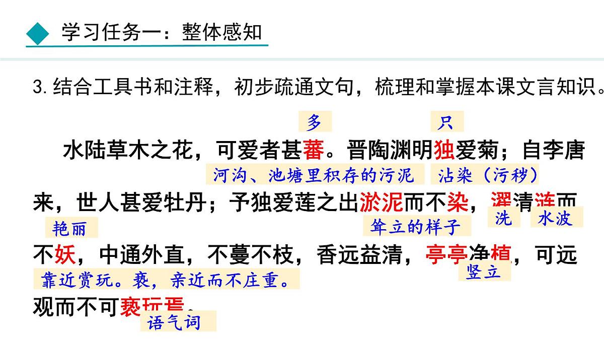 统编版（2024）七年级语文下册17短文两篇--爱莲说课件第8页