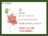 統(tǒng)編版（2024）七年級(jí)語(yǔ)文下冊(cè)17短文兩篇--愛(ài)蓮說(shuō)課件ppt