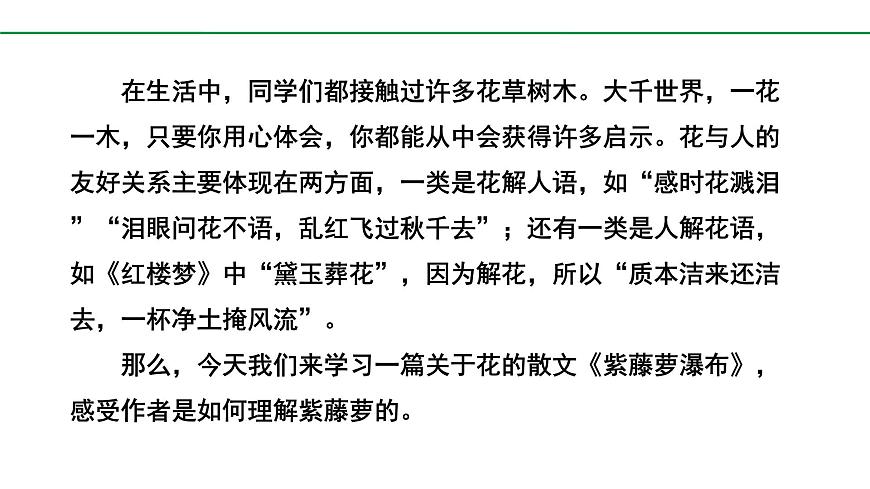 部编版2024-2025年第二学期 语文 七年级下册  第五单元 19  紫藤萝瀑布  课件第2页