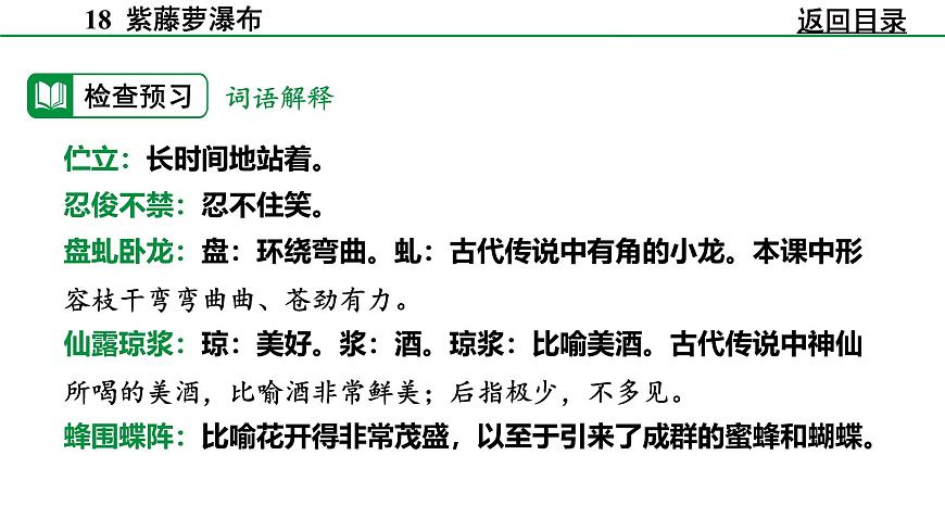 部编版2024-2025年第二学期 语文 七年级下册  第五单元 19  紫藤萝瀑布  课件第6页