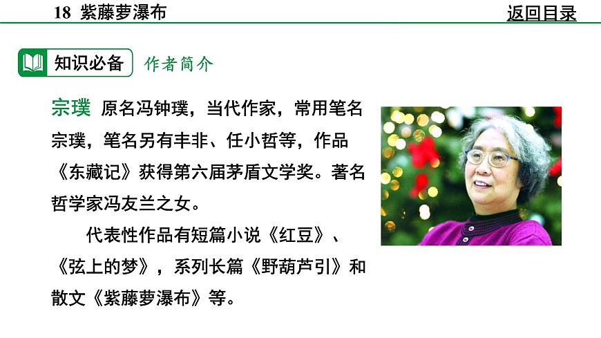 部编版2024-2025年第二学期 语文 七年级下册  第五单元 19  紫藤萝瀑布  课件第8页