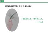 部編版2024-2025年第二學(xué)期 語(yǔ)文 七年級(jí)下冊(cè)  第六單元     過(guò)松源晨炊漆公店（其五） 課件