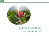 部編版2024-2025年第二學(xué)期 語(yǔ)文 七年級(jí)下冊(cè)  第六單元     過(guò)松源晨炊漆公店（其五） 課件