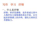 第二單元《寫作 學(xué)習(xí)抒情》課件 部編版語文七年級下冊