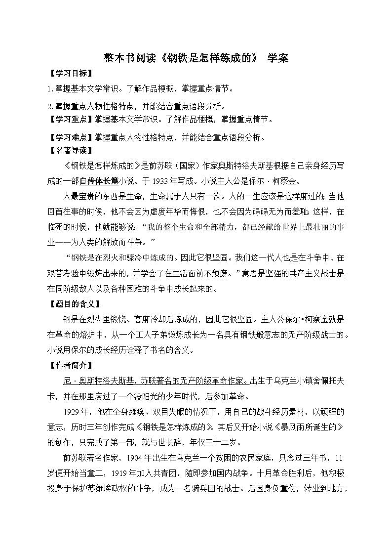 2024-2025学年部编版语文七年级下册 整本书阅读《钢铁是怎样炼成的》 学案2第1页