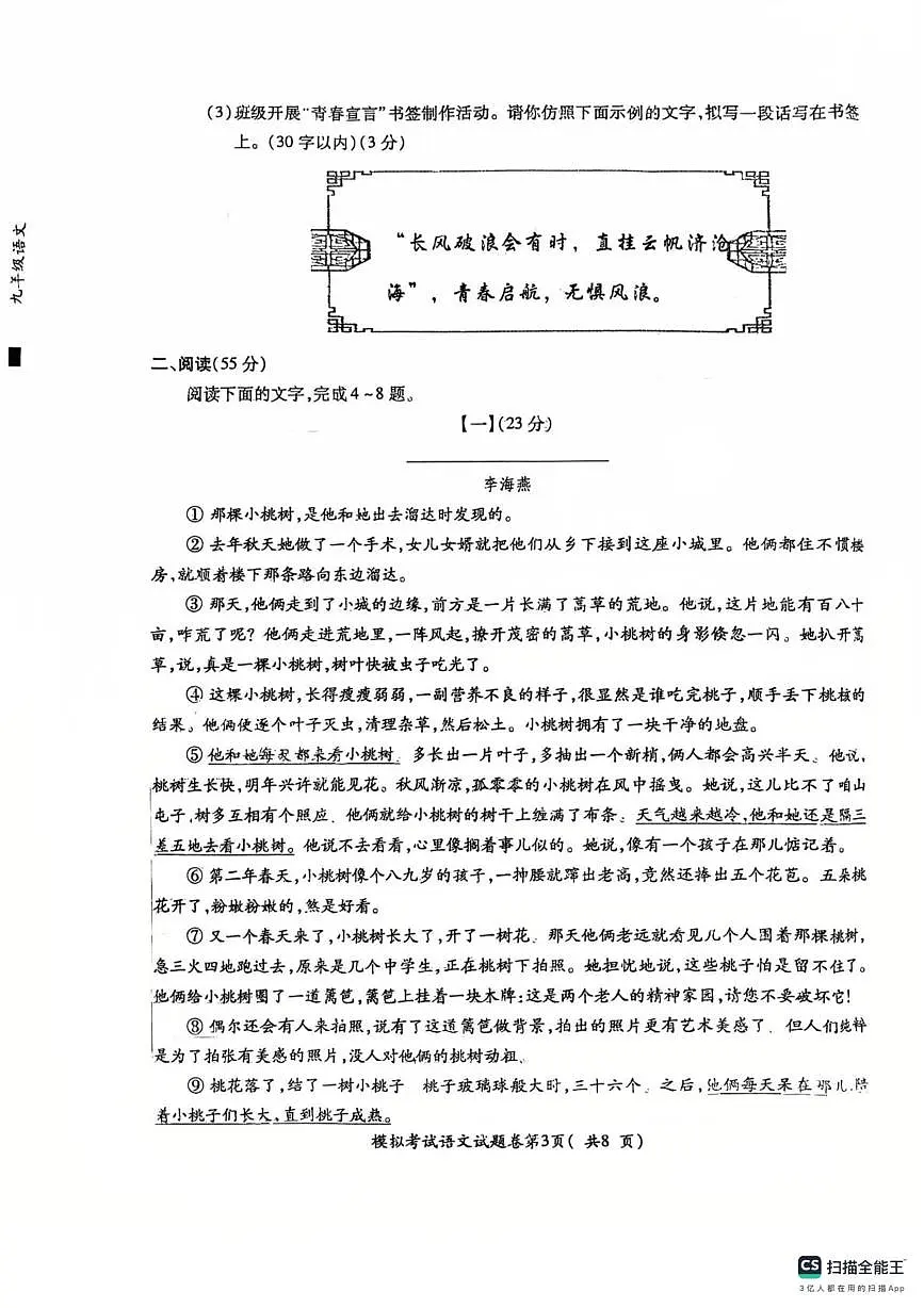 2025年安徽省芜湖市镜湖区芜湖市第二十七中学二模语文试题（中考模拟）第3页