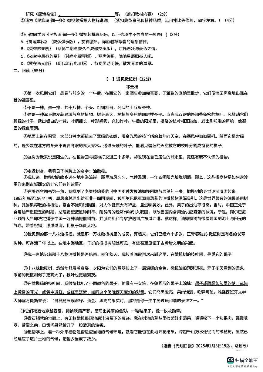 2025年安徽省合肥市新站区中考二模语文试卷（中考模拟）第2页