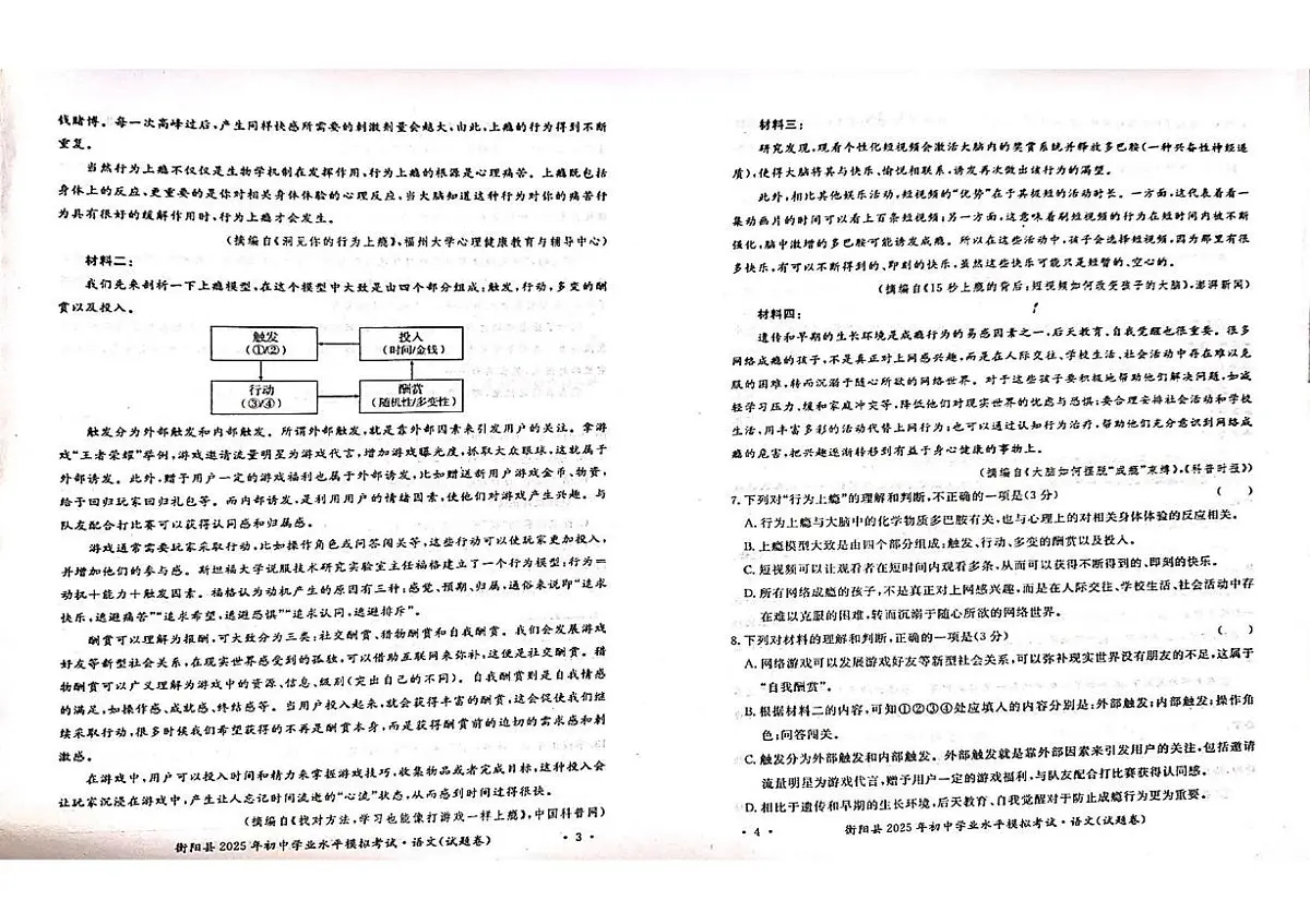 2025年湖南省衡阳县初中学业水平考试模拟考试语文试题（中考模拟）第2页