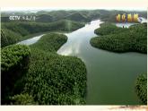 統(tǒng)編版語(yǔ)文七年級(jí)下冊(cè)第15課《青春之光》課件