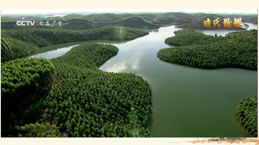 统编版语文七年级下册第15课《青春之光》课件第1页