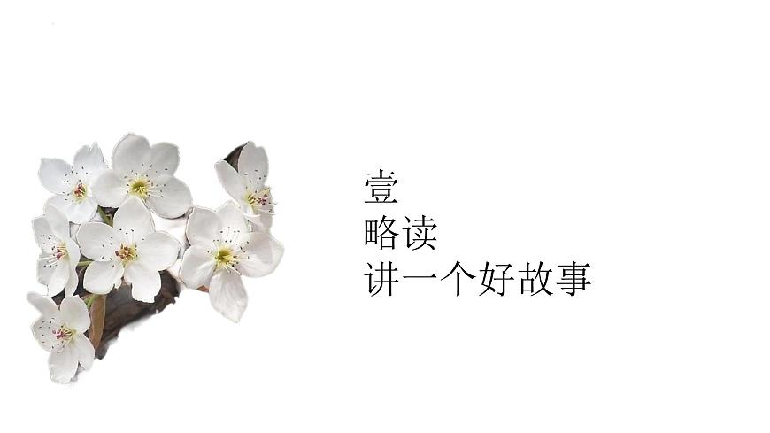 统编版语文七年级下册第14课《驿路梨花》课件第6页