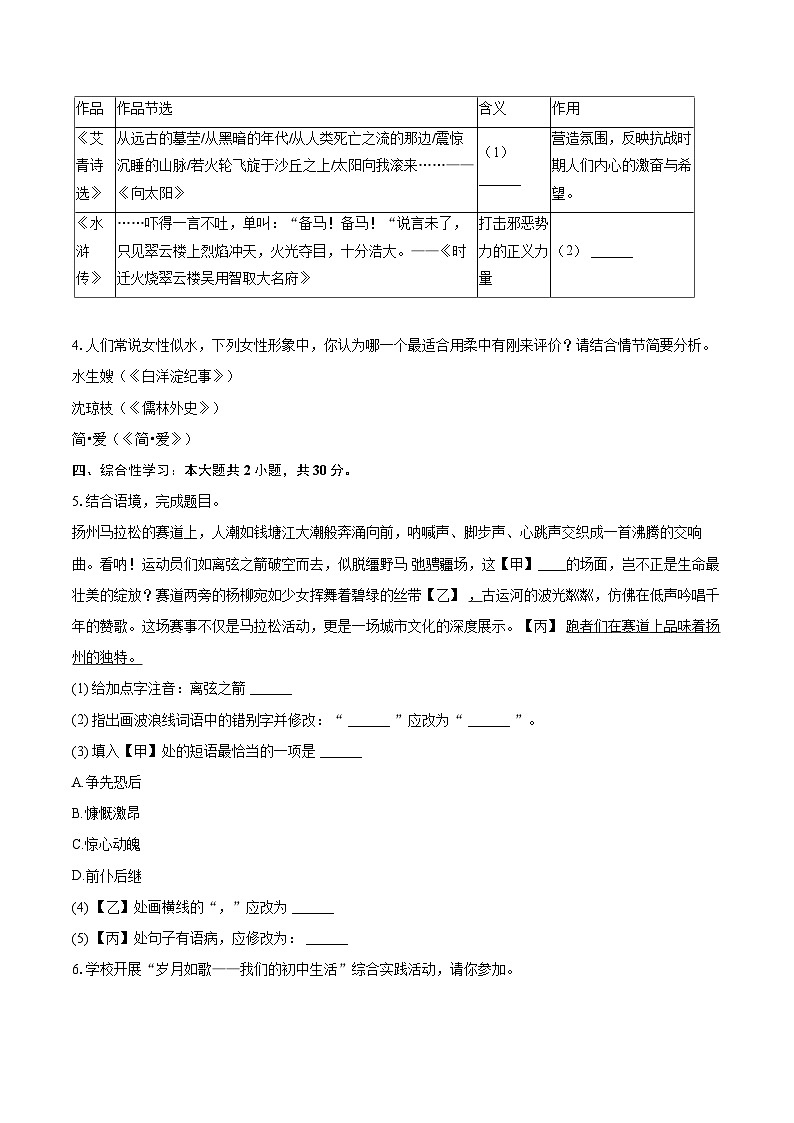 2025年江苏省扬州市梅岭集团中考语文一模试卷(含详细答案解析)第2页