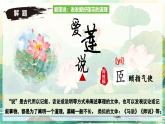 第17課之《愛蓮說》課件七年級(jí)語文下冊(cè)同步備課精（統(tǒng)編版2024）