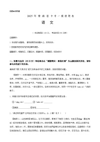 2025年中考语文一模猜题卷（青海省专用）—2025年全国各地市最新中考语文模拟考试（含答案+解析）