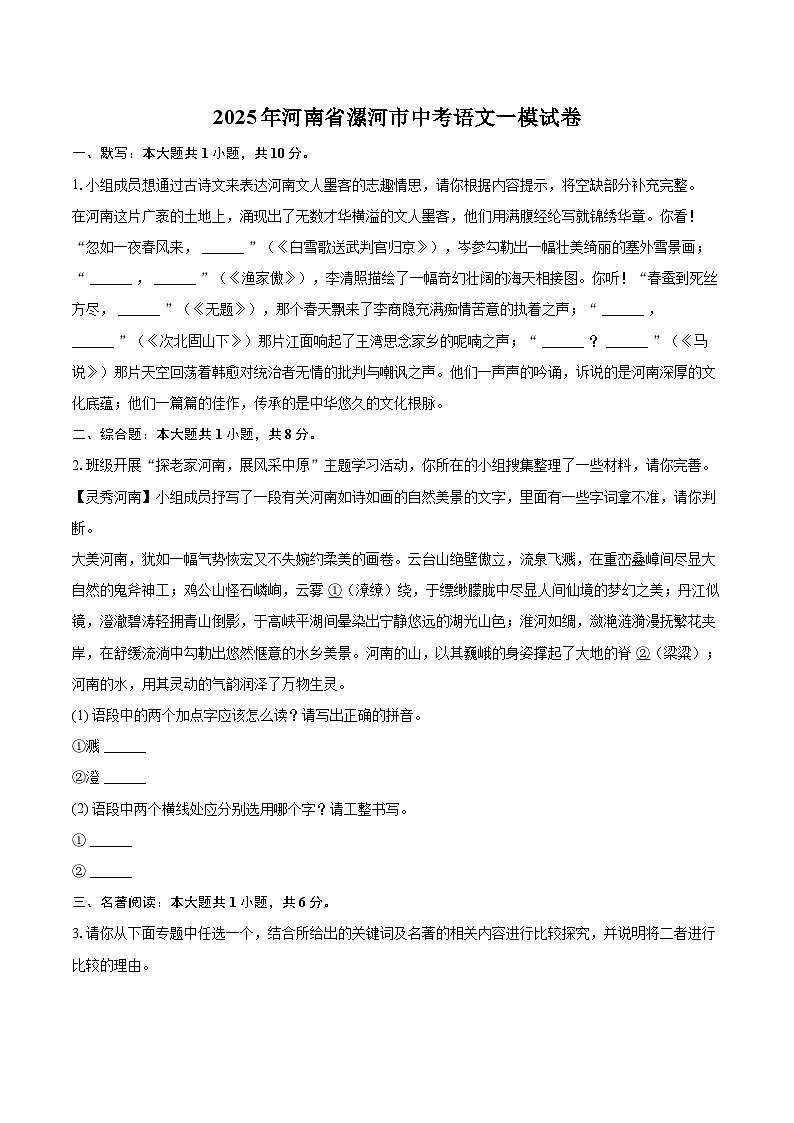 2025年河南省漯河市中考语文一模试卷(含详细答案解析)第1页