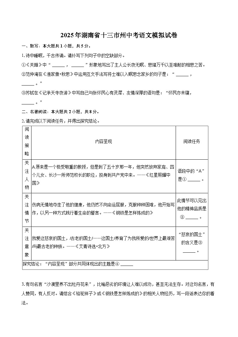 2025年湖南省十三市州中考语文模拟试卷(含详细答案解析)第1页
