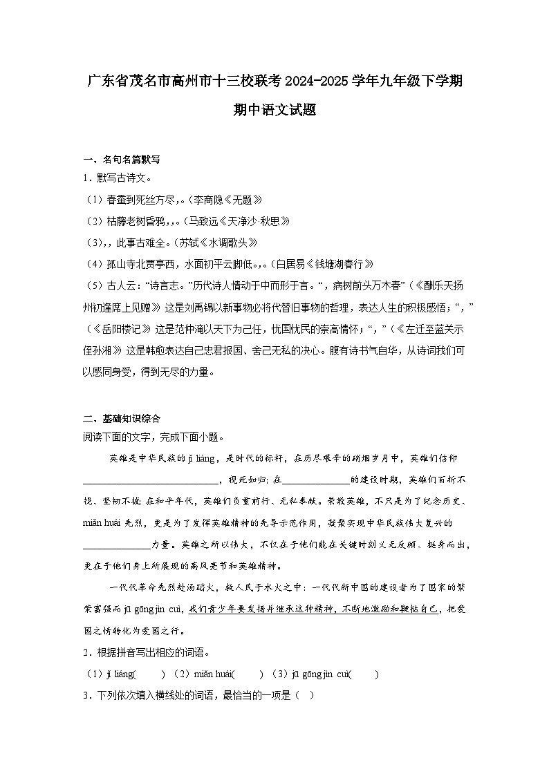广东省茂名市高州市十三校联考2024-2025学年九年级下学期期中语文试题（含答案）第1页