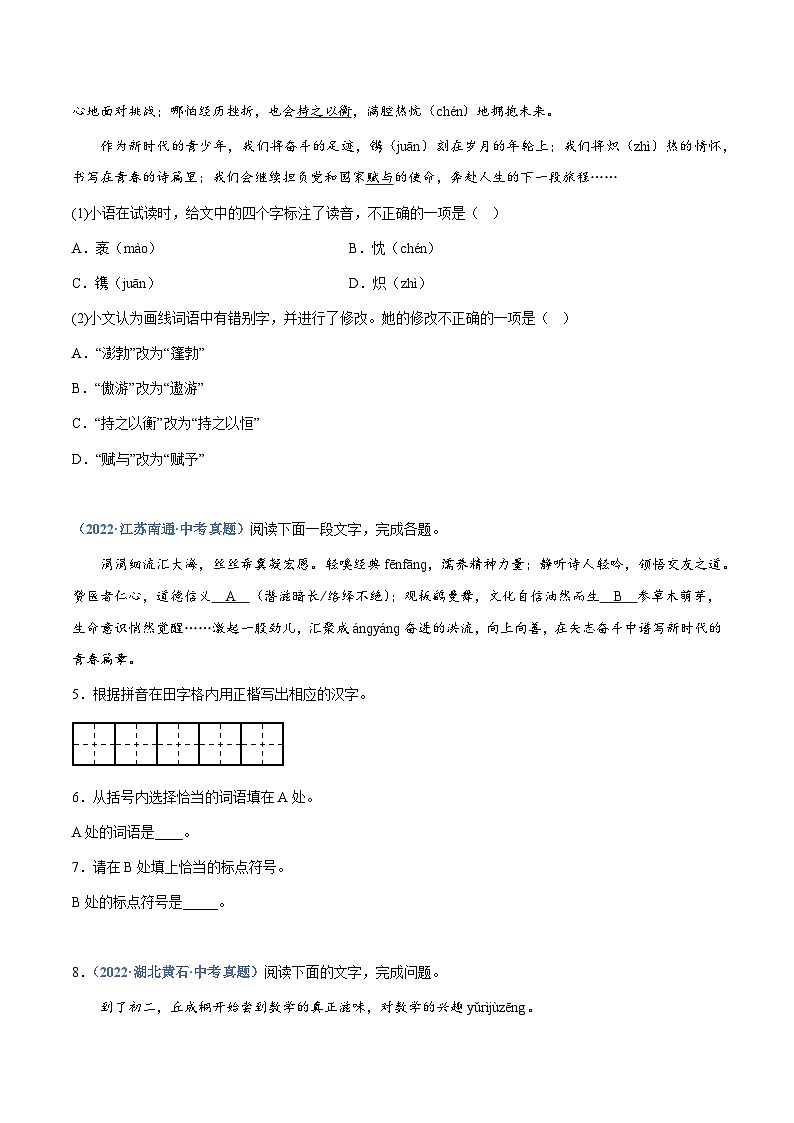 中考语文专题08：综合考查（一）（练习版）第2页