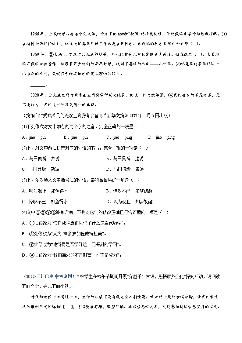 中考语文专题08：综合考查（一）（练习版）第3页
