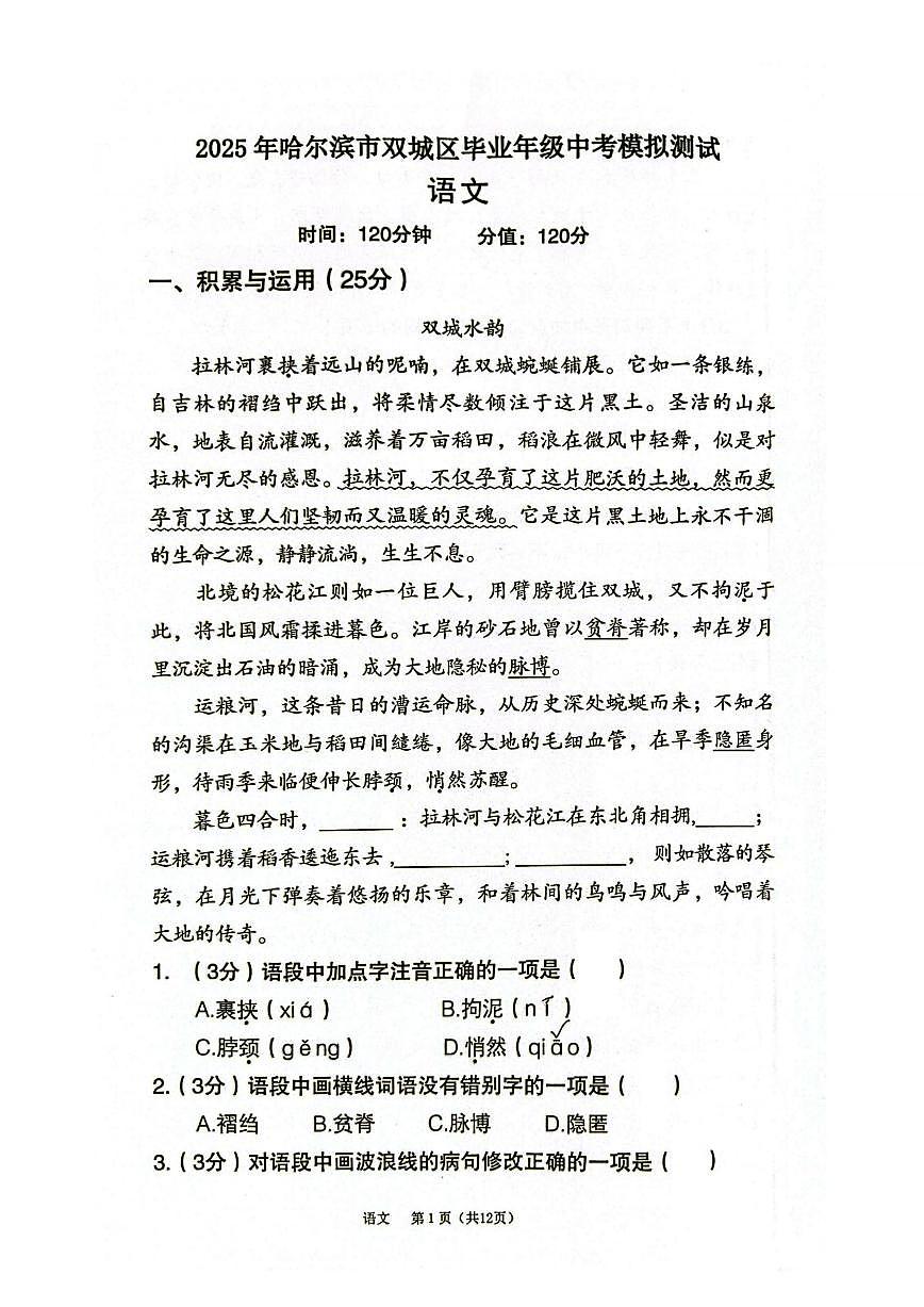 2024-2025学年黑龙江省哈尔滨市双城区九年级一模语文试卷（图片版含答案）第1页