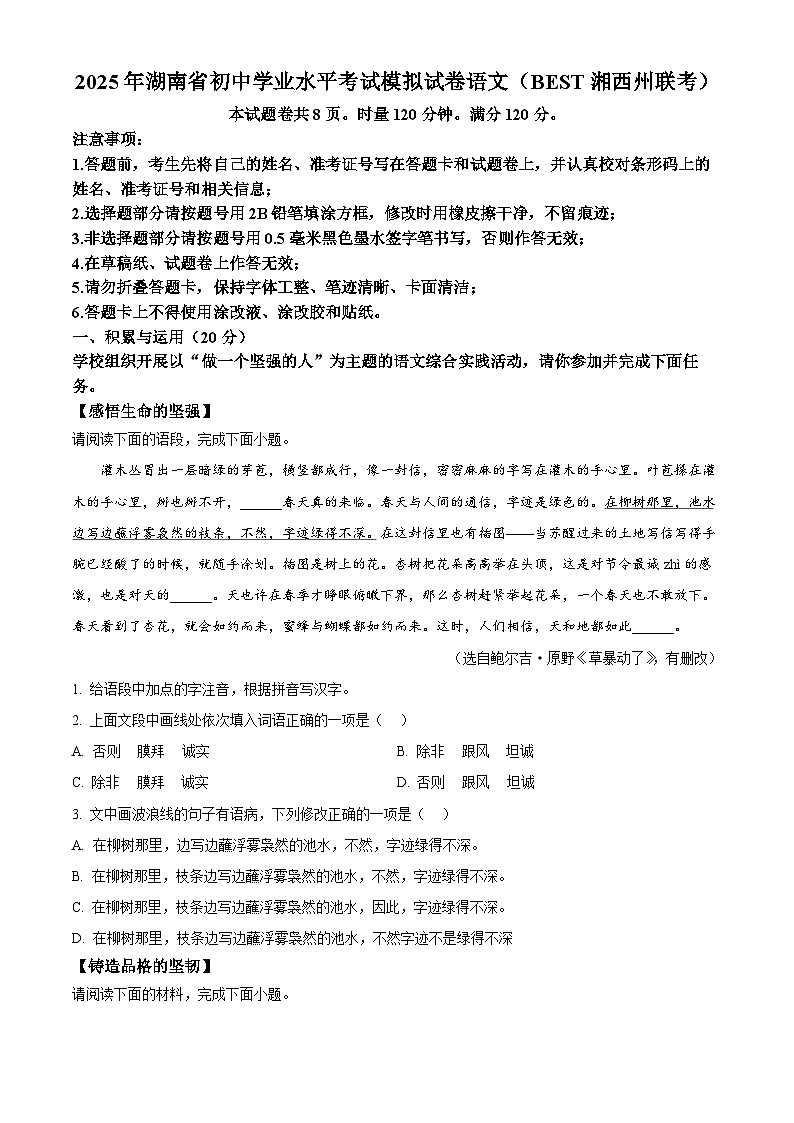 2025年湖南省湘西州中考模拟语文试题（含答案）第1页