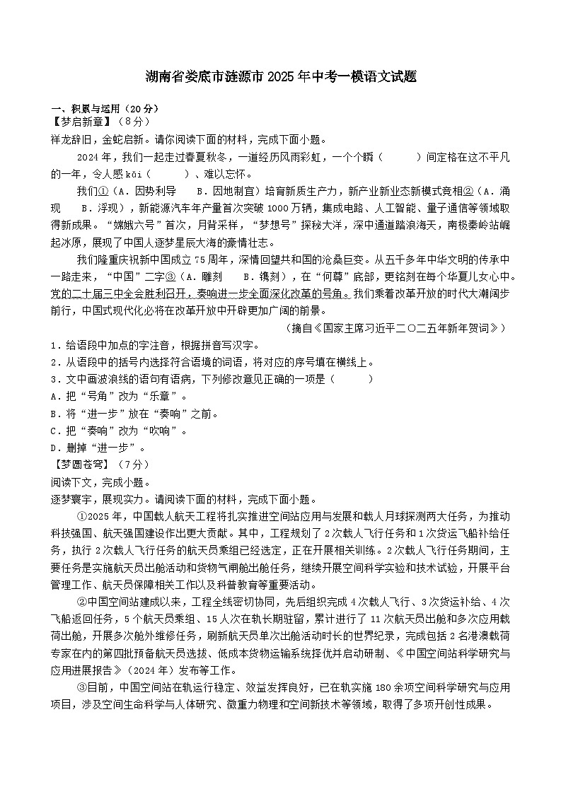 湖南省娄底市涟源市2025年中考一模语文试题（含答案）第1页