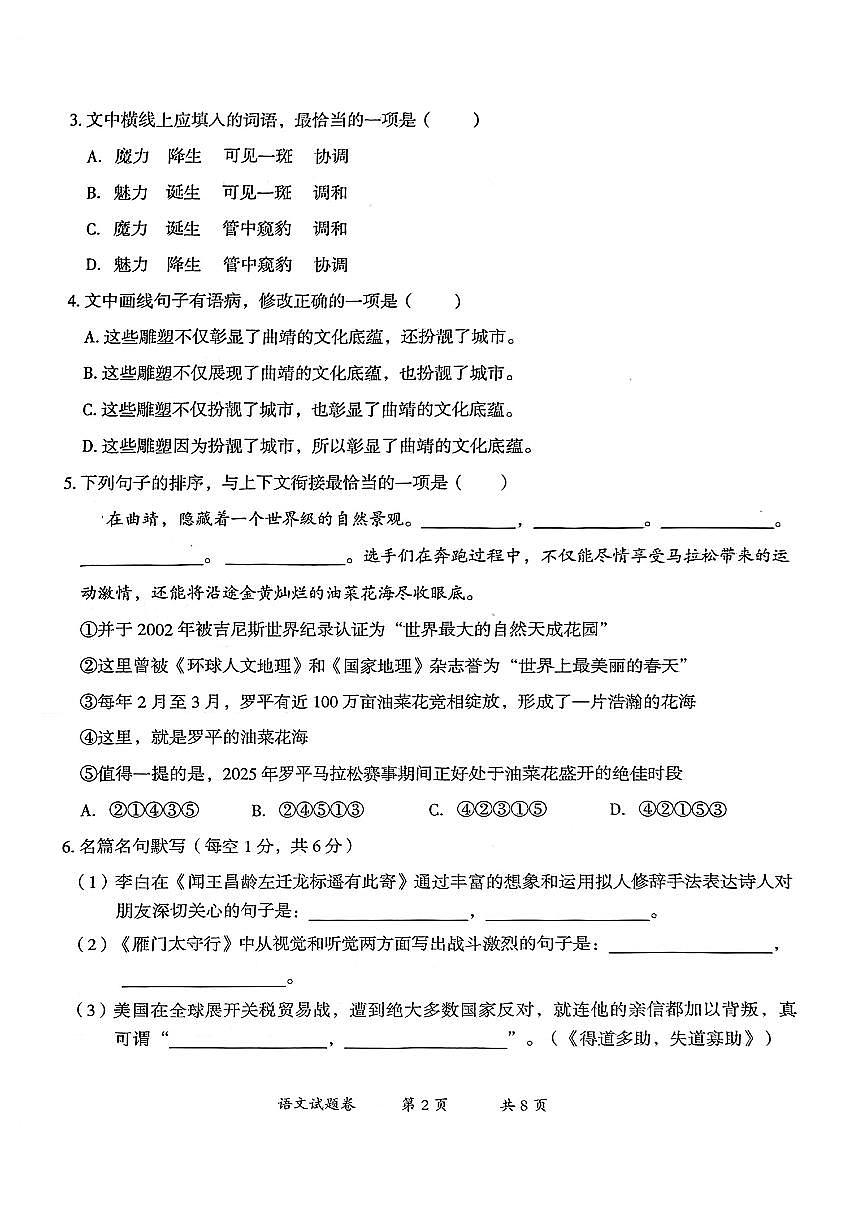 云南省曲靖市2024-2025学年第二学期九年级语文教学质量监测试题（二模）第2页