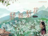 第14課《驛路梨花》課件  2024—2025學(xué)年統(tǒng)編版語文七年級下冊
