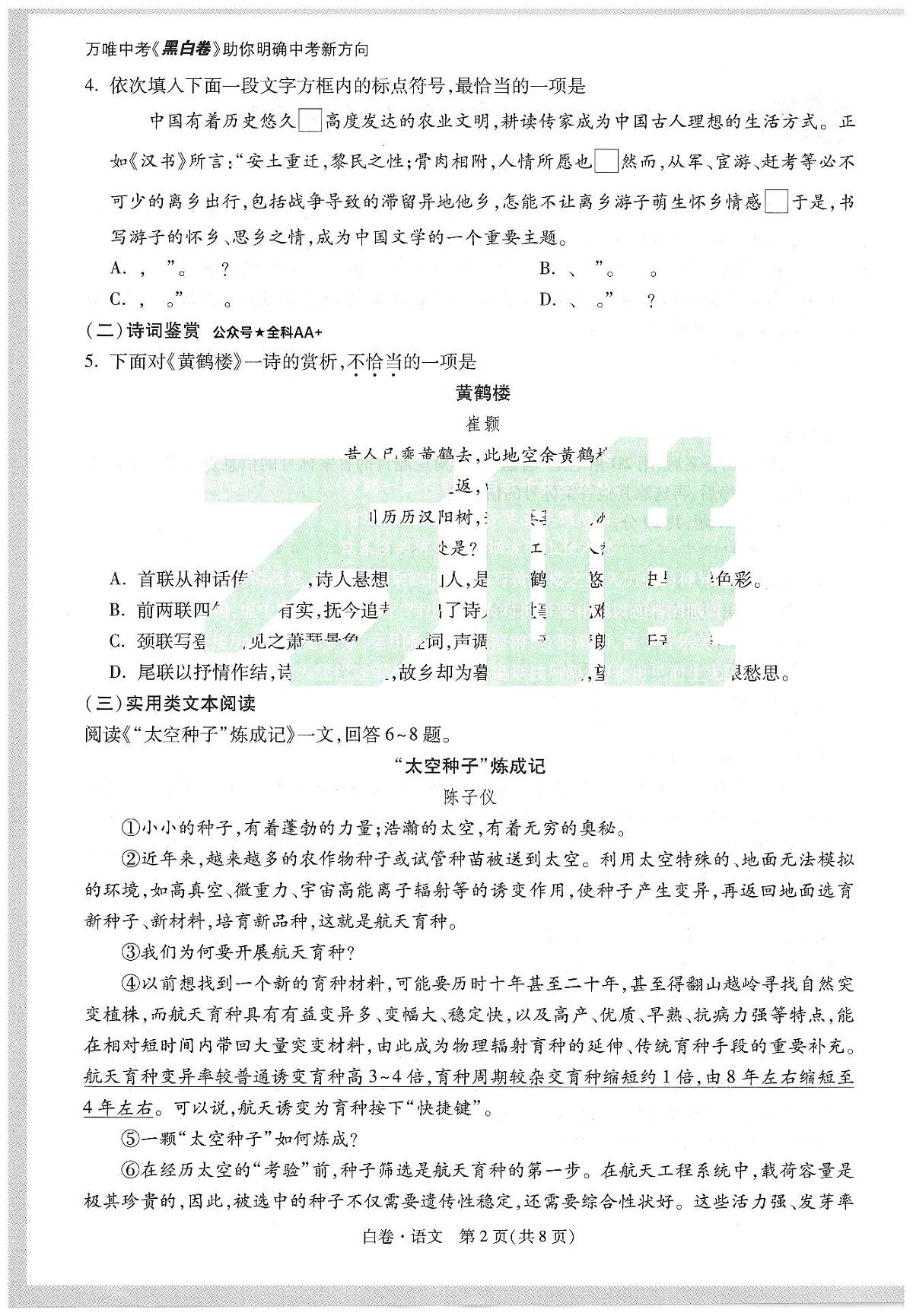 2025《万唯中考•天津黑白卷》语文白卷第2页