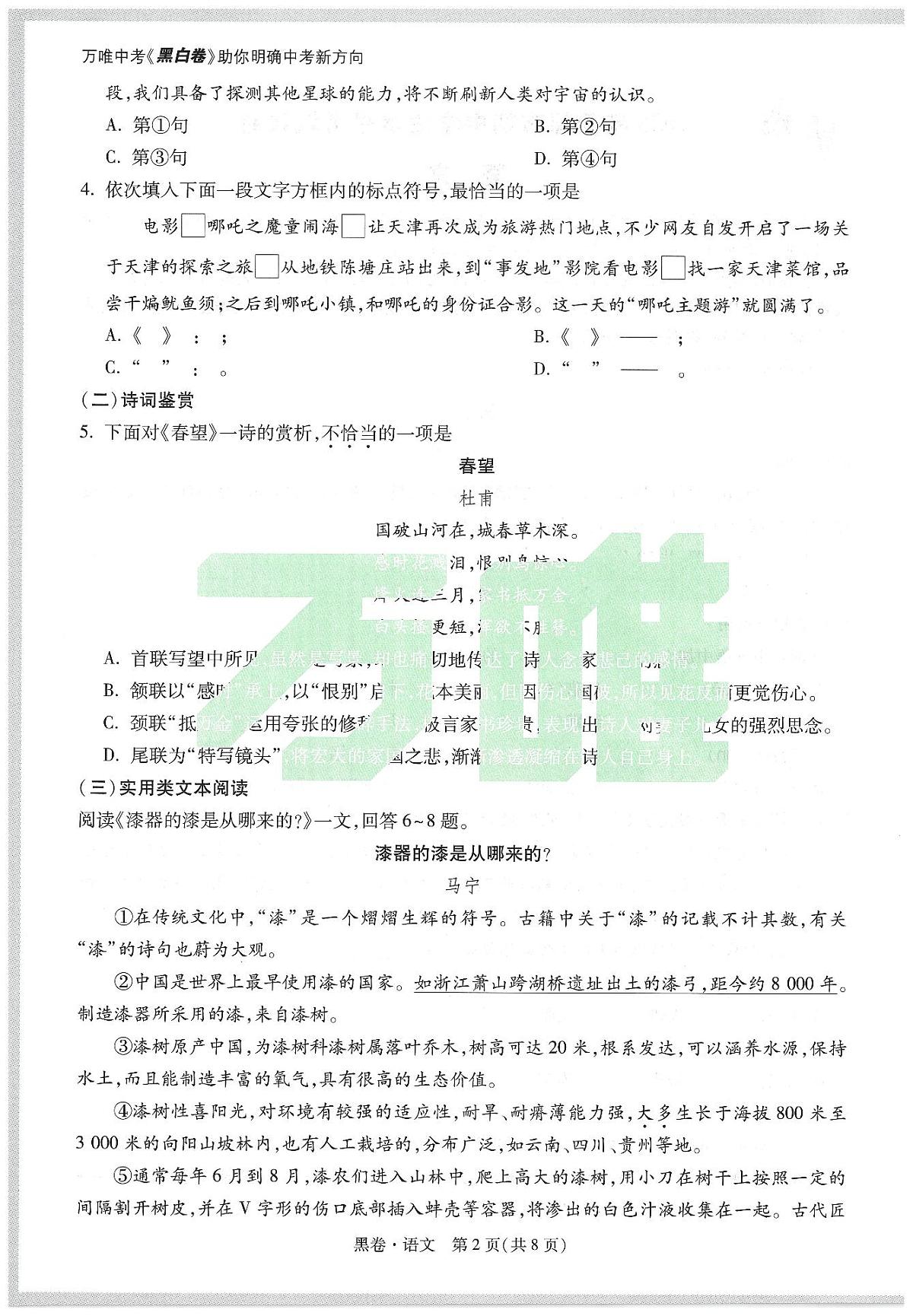 2025《万唯中考•天津黑白卷》语文黑卷第2页