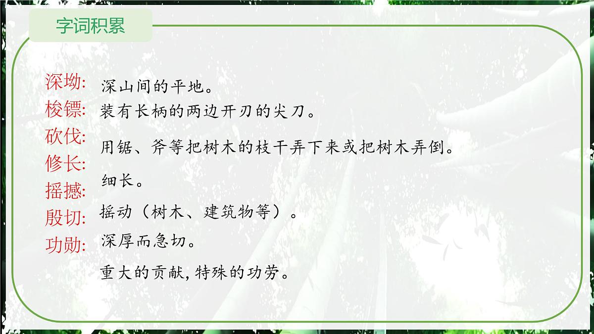 第18课《井冈翠竹》课件-2024-2025学年统编版语文七年级下册第7页