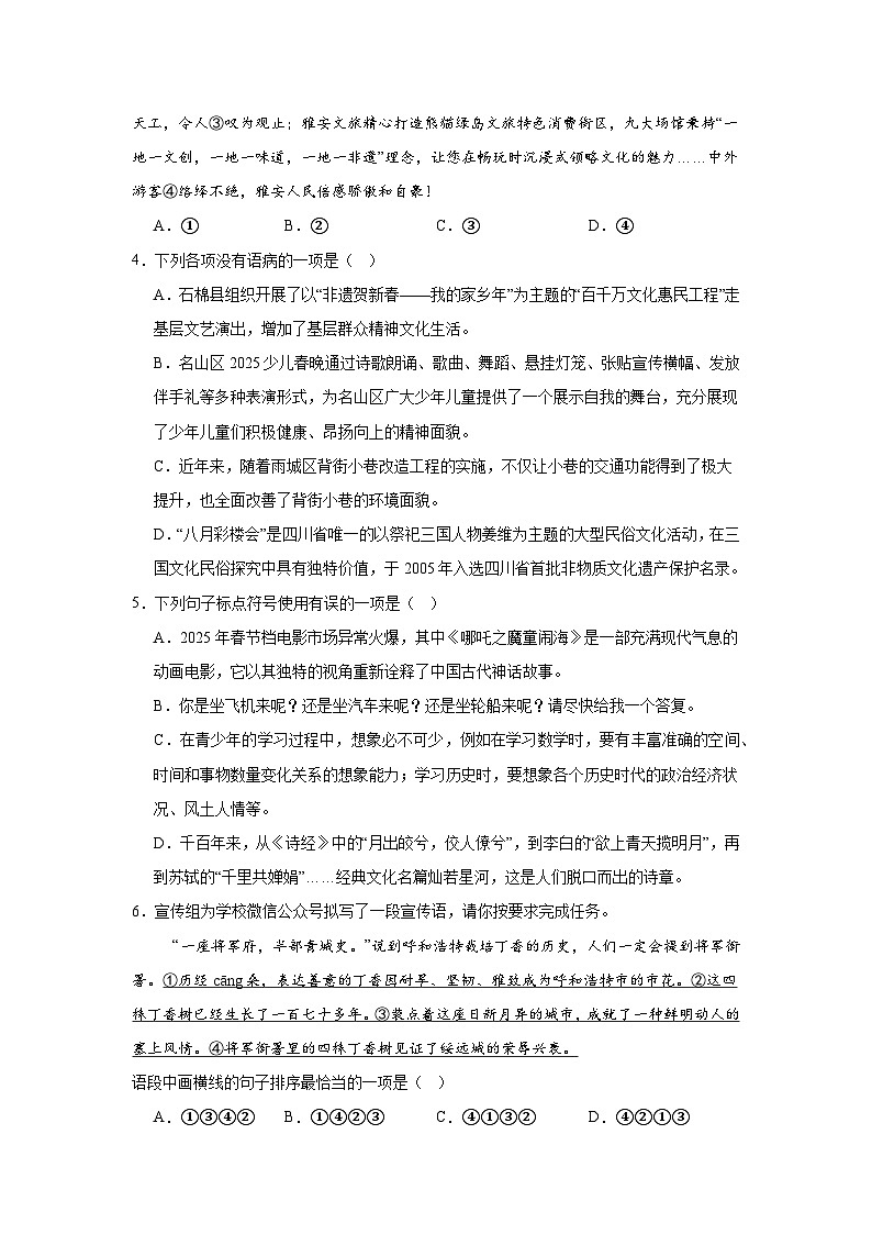 2025年四川省雅安市雨城区中考一模语文试题（含答案）第2页