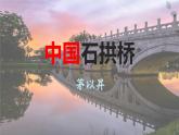 第19課《中國石拱橋》課件 2024—2025學(xué)年統(tǒng)編版語文八年級上冊