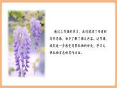 【核心素養(yǎng)優(yōu)質(zhì)課】部編版語文七年級下冊第19課 紫藤蘿瀑布 第2課時（課件+同步教學(xué)設(shè)計+素材）