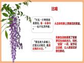 【核心素養(yǎng)優(yōu)質(zhì)課】部編版語文七年級下冊第19課 紫藤蘿瀑布 第2課時（課件+同步教學(xué)設(shè)計+素材）