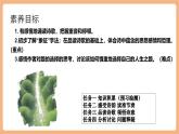 【核心素養(yǎng)優(yōu)質課】部編版語文七年級下冊第20課 外國詩兩首 未選擇的路（課件+同步教學設計+素材）