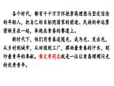 部編版2024-2025年第二學(xué)期 語(yǔ)文 七年級(jí)下冊(cè) 第四單元 第15課《青春之光》課件