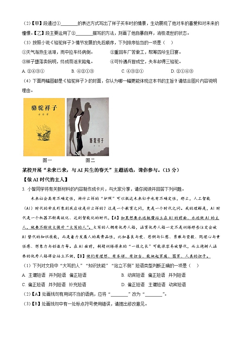 2025年安徽省阜阳市颍上县中考二模语文试题（原卷版+解析版）第2页