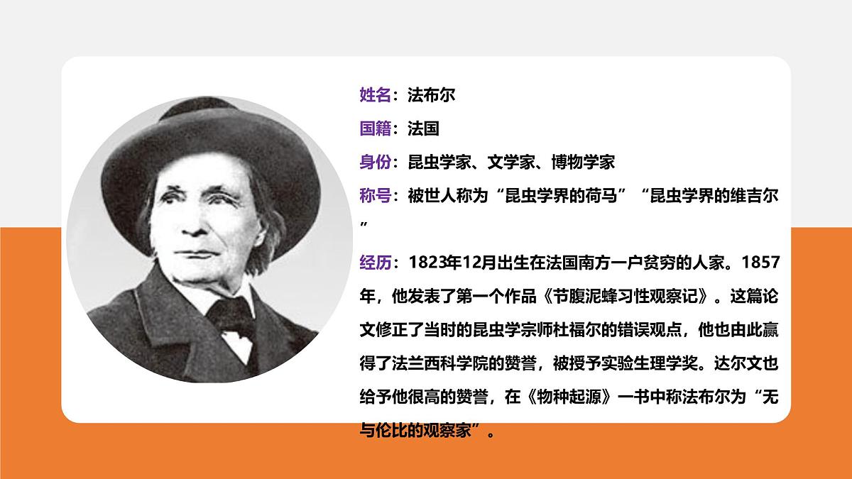 专题08 昆虫记【名著概览】 - 新课标中考语文必读名著考点速记精练第4页