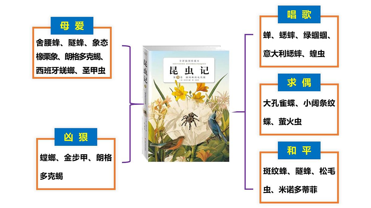 专题08 昆虫记【名著概览】 - 新课标中考语文必读名著考点速记精练第7页