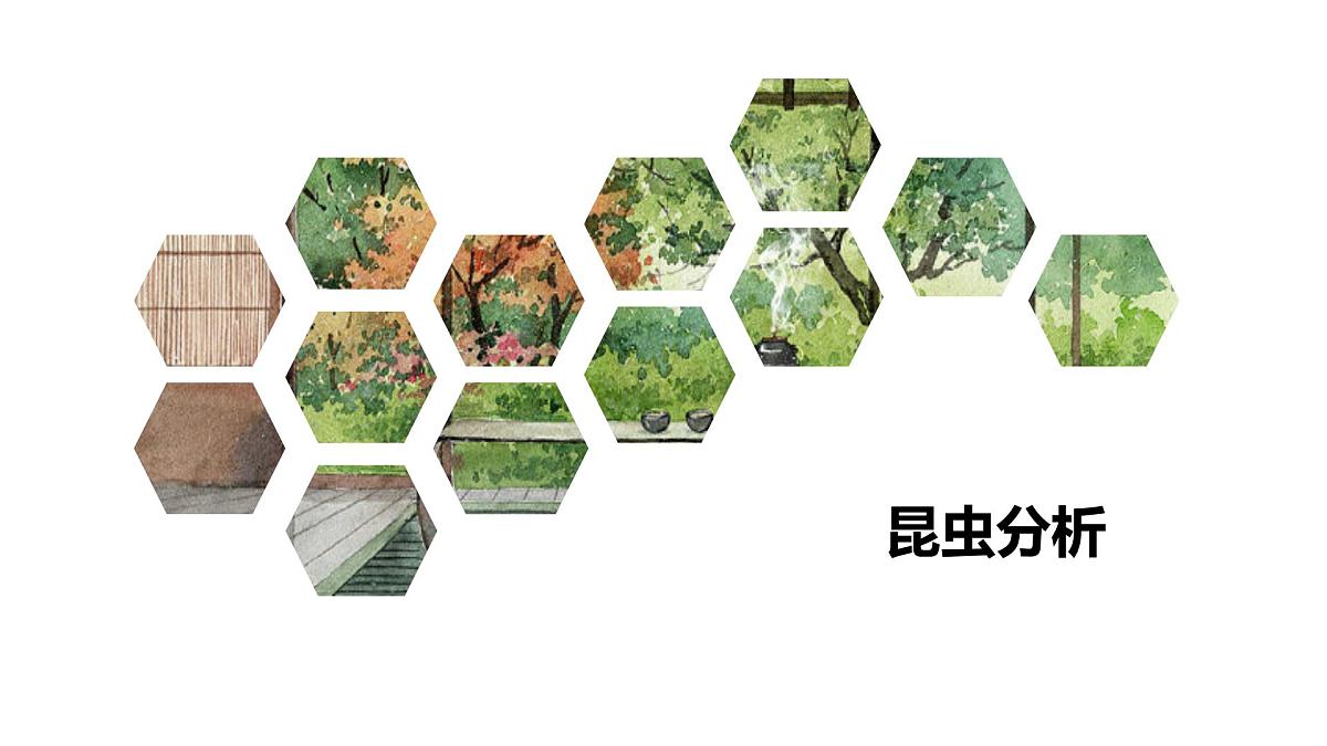 专题08 昆虫记【名著概览】 - 新课标中考语文必读名著考点速记精练第8页