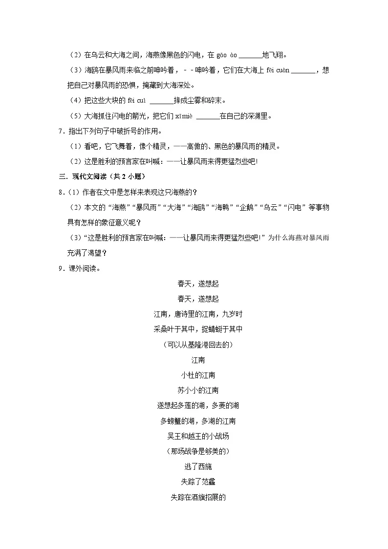 【同步练习卷】部编版语文九年级下册 4 海燕第2页