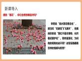 【核心素養(yǎng)優(yōu)質(zhì)課】部編版語(yǔ)文七年級(jí)下冊(cè)第21課 古代詩(shī)歌五首 己亥雜詩(shī)（課件+同步教學(xué)設(shè)計(jì)+素材）