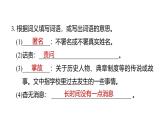 統(tǒng)編版（2024）語文八年級上冊第二單元 復習 習題課件