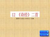 人教版八年級語文下冊12 《詩經(jīng)》二首 蒹葭課件